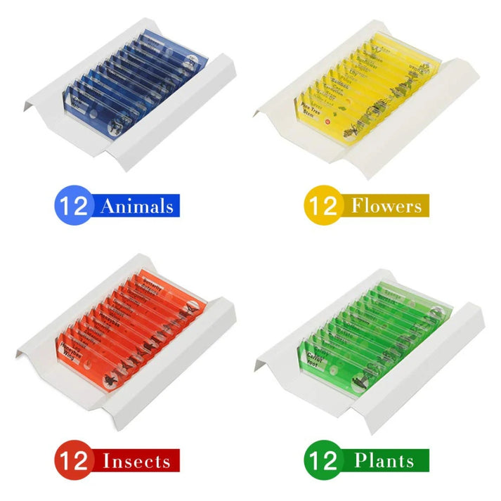 Kids Microscope Slides Set - 12 Specimens