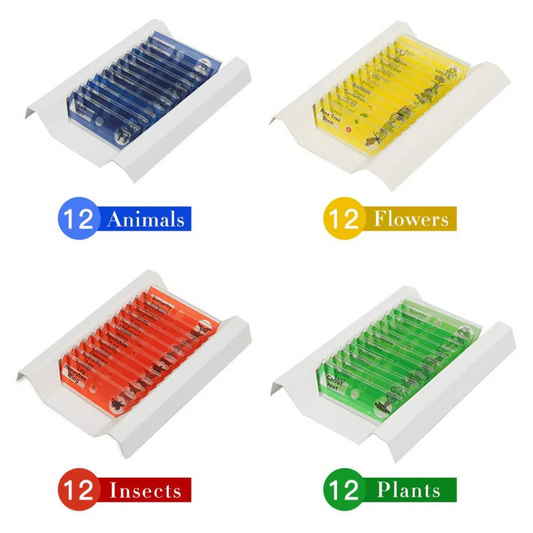 Kids Microscope Slides Set - 12 Specimens